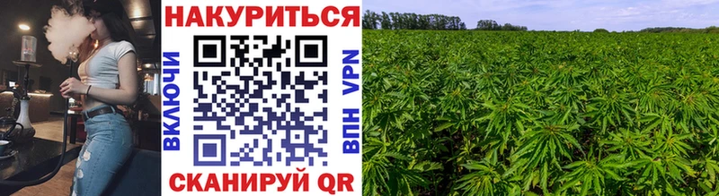 Виды наркоты Белая Холуница Каннабис  Alpha PVP  Меф мяу мяу 