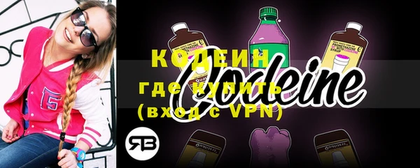 гидра Богородицк