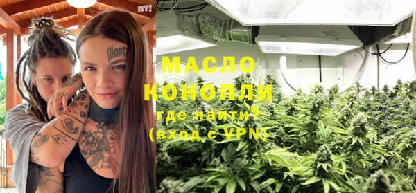 гидра Богородицк
