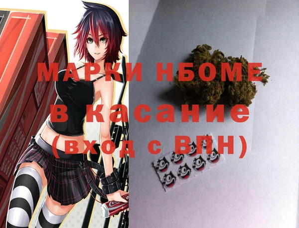 соль ск Пересвет