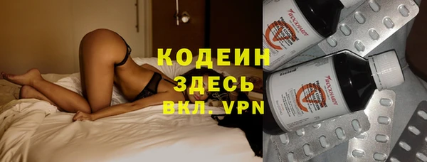 гидра Богородицк