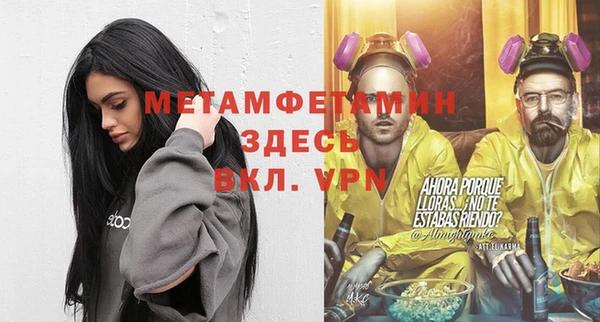 гидра Богородицк
