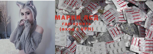 гидра Богородицк